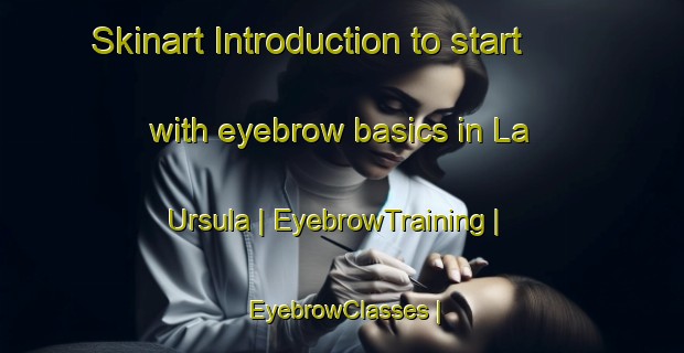 Skinart Introduction to start with eyebrow basics in La Ursula | EyebrowTraining | EyebrowClasses | SkinartTraining-Mexico